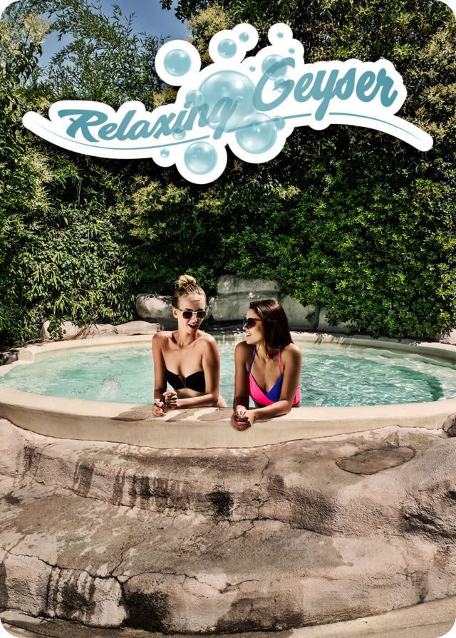 GEISER (FILEminimizer)